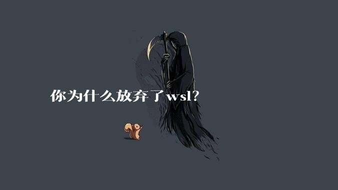 你为什么放弃了wsl？